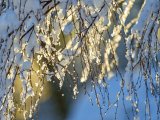 Прогноз погоды в Набережных Челнах на 27 февраля