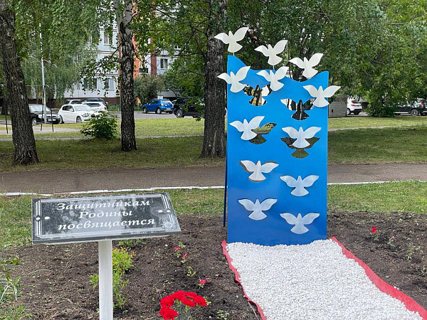 В Челнах появились «Голуби мира»