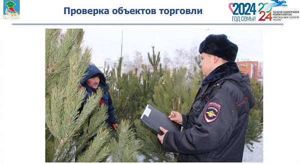 Халык җаваплылыгы зонасында урманнарны законсыз кисү