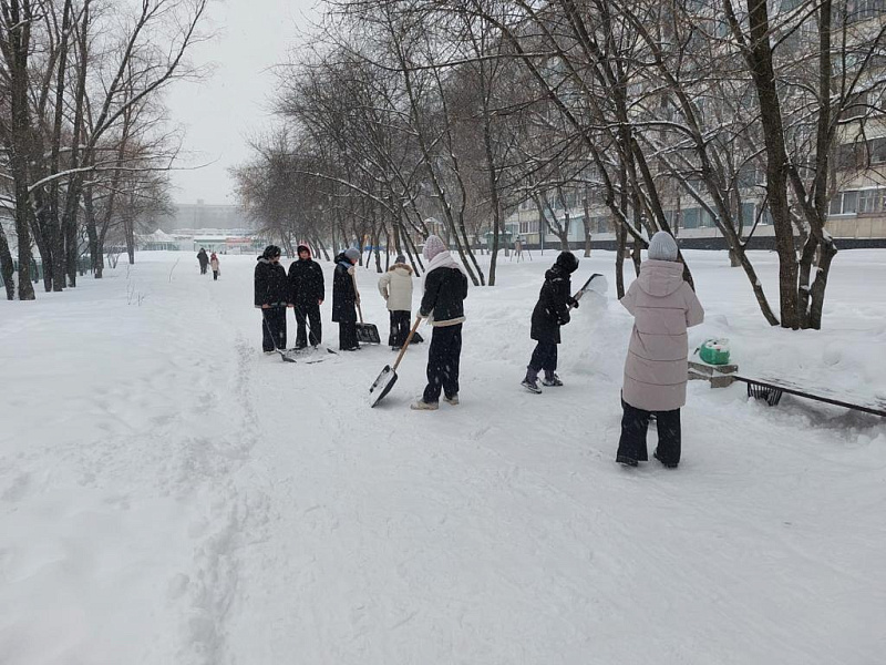 "Снежный десант" снова в деле