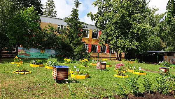 В Автозаводском районе подвели итоги городского конкурса по благоустройству и озеленению