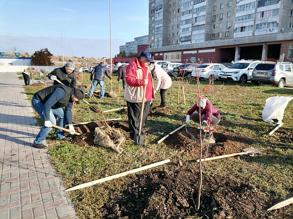 Яр Чаллыда көз башыннан бирле 8 меңгә якын агач һәм куак утыртылды