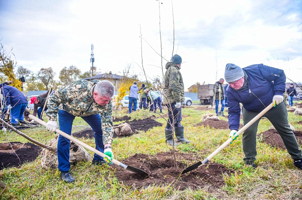 На проспекте Яшьлек появилось более 500 новых деревьев