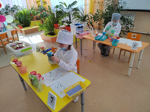 «BabySkills-2022» II Төбәкара чемпионатына йомгак ясалды