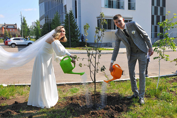 Яңа өйләнешүче парлар ЗАГС территориясендә агачлар утырттылар