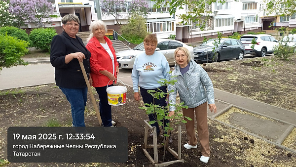 Чаллылылар ишегалларында агачлар утыртты
